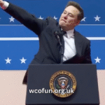 Elon Musk Salute